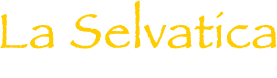 Azienda Agricola La Selvatica